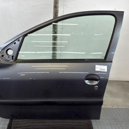 Porte avant gauche PEUGEOT 206+ Photo n°1