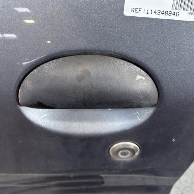 Porte avant gauche PEUGEOT 206+ Photo n°2
