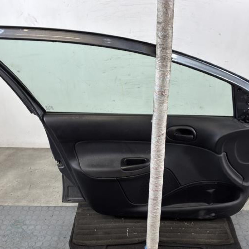 Porte avant gauche PEUGEOT 206+ Photo n°6