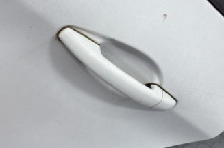 Porte arriere gauche PEUGEOT 208 1