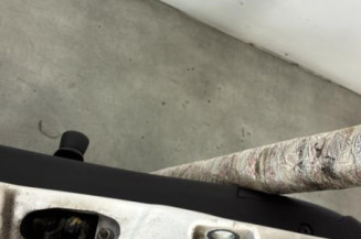 Porte arriere gauche PEUGEOT 208 1