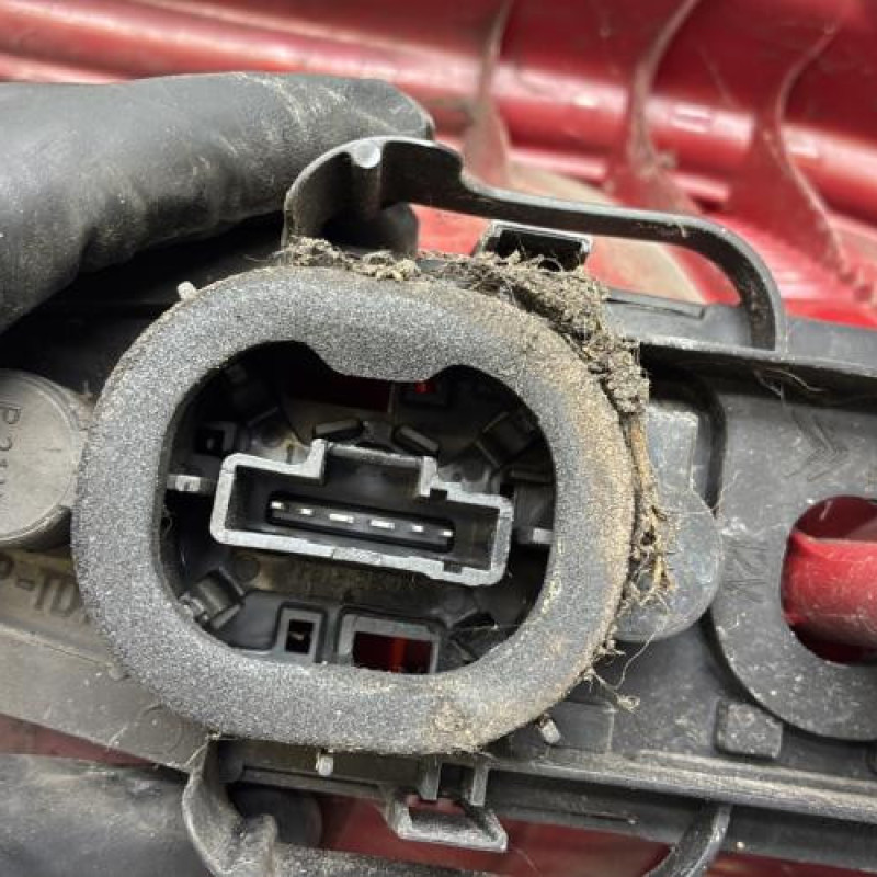 Feu arriere principal gauche (feux) CITROEN C2 Photo n°3