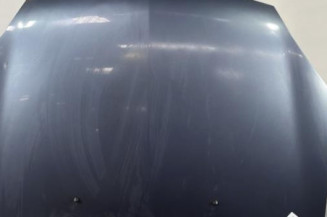 Capot RENAULT CLIO 2 Photo n°1