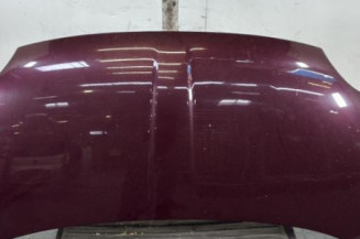 Capot FIAT 500 2 Photo n°1