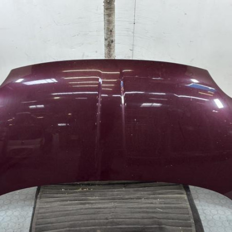 Capot FIAT 500 2 Photo n°1