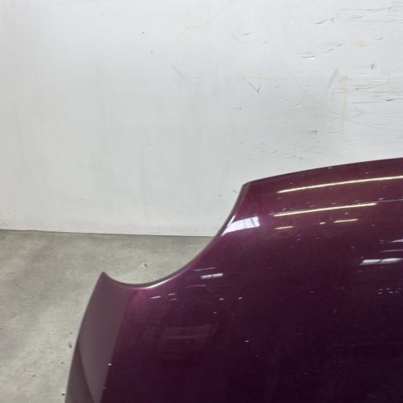 Capot FIAT 500 2 Photo n°2