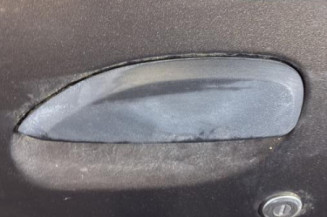 Porte avant gauche DACIA SANDERO 2