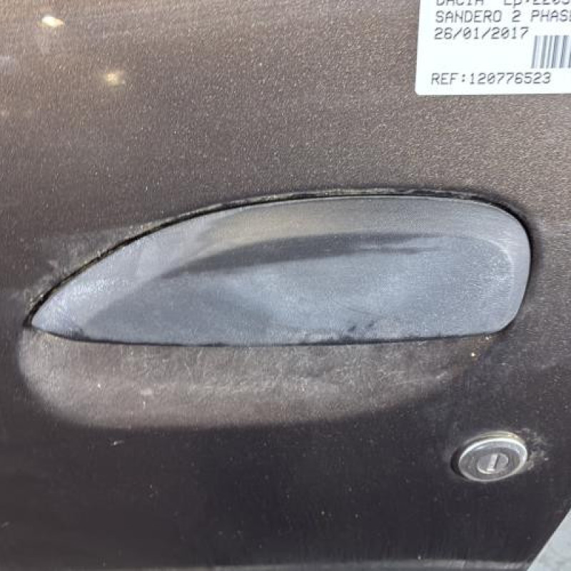Porte avant gauche DACIA SANDERO 2 Photo n°2