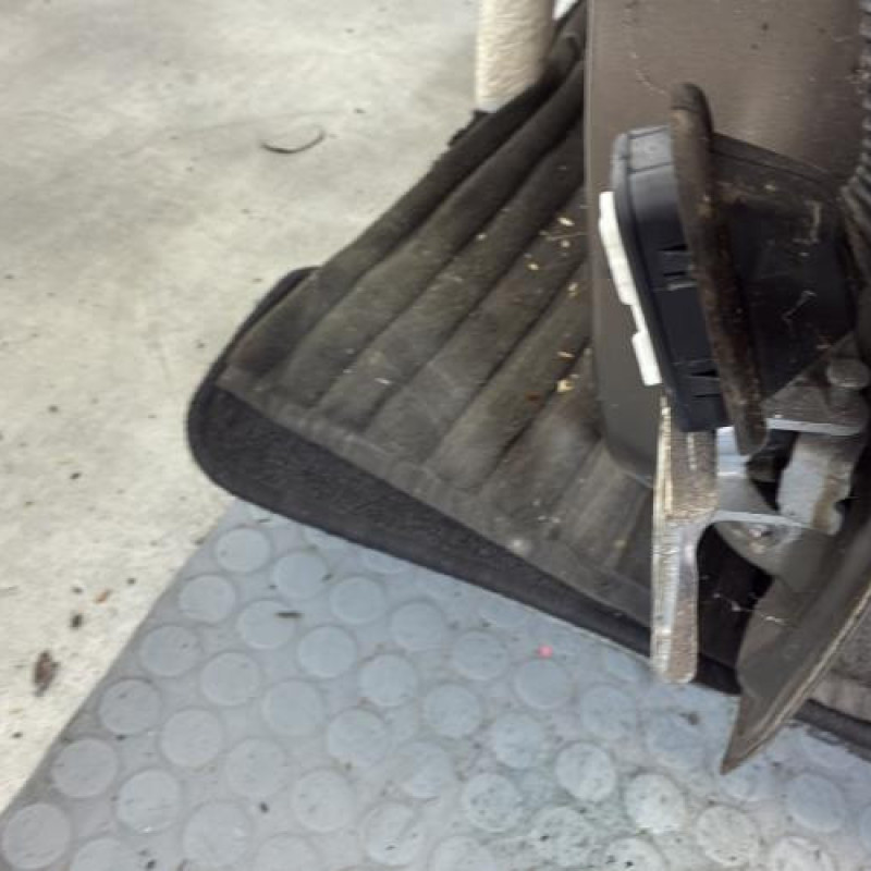 Porte avant gauche DACIA SANDERO 2 Photo n°4