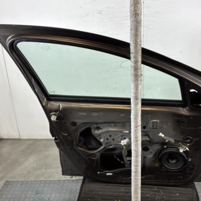 Porte avant gauche DACIA SANDERO 2 Photo n°5