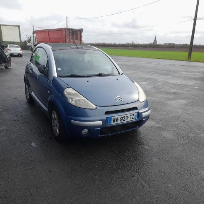 Custode avant gauche (porte) CITROEN C3 PLURIEL Photo n°5