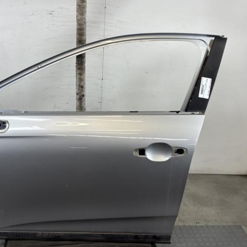 Porte avant gauche RENAULT CLIO 5 Photo n°1