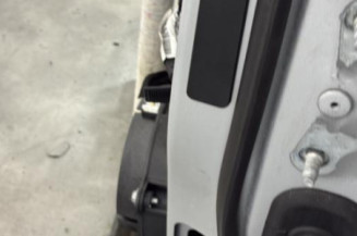 Porte avant gauche RENAULT CLIO 5