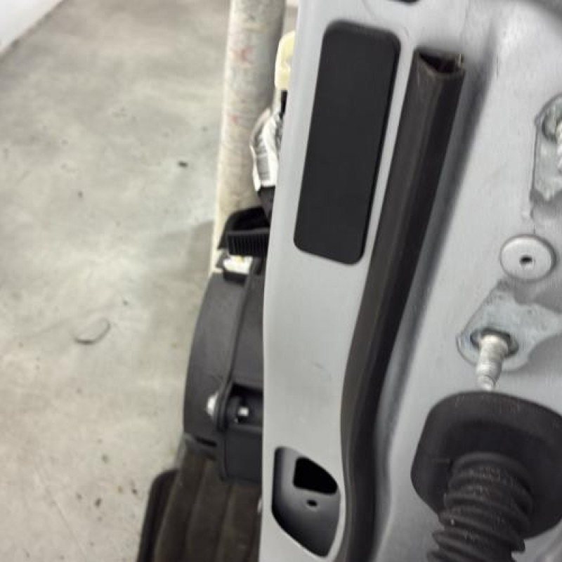 Porte avant gauche RENAULT CLIO 5 Photo n°2