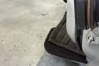 Porte avant gauche RENAULT CLIO 5