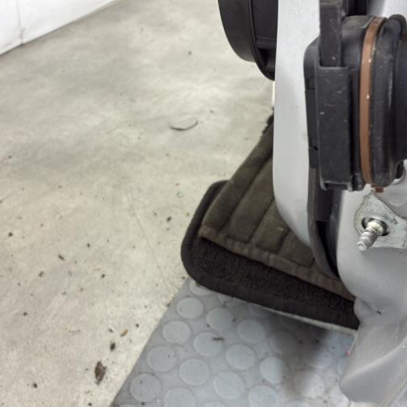 Porte avant gauche RENAULT CLIO 5 Photo n°3