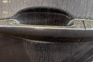 Porte arriere gauche BMW SERIE 3 E90