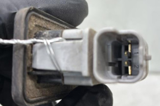 Bouton de coffre RENAULT MEGANE 4