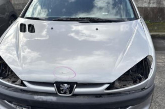 Moto ventilateur radiateur PEUGEOT 206