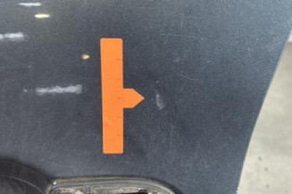 Porte avant gauche BMW SERIE 3 E90