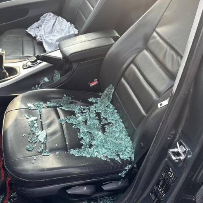 Porte avant gauche BMW SERIE 3 E90 Photo n°17