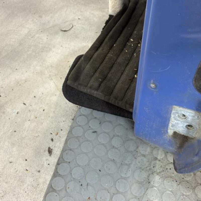 Porte avant gauche RENAULT TWINGO 1 Photo n°3