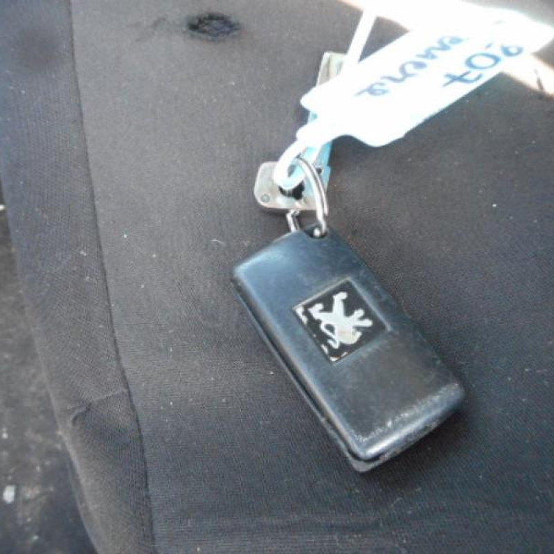 Feu arriere principal gauche (feux) PEUGEOT 207 Photo n°5