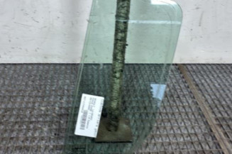 Custode arriere gauche (porte) RENAULT MODUS Photo n°1