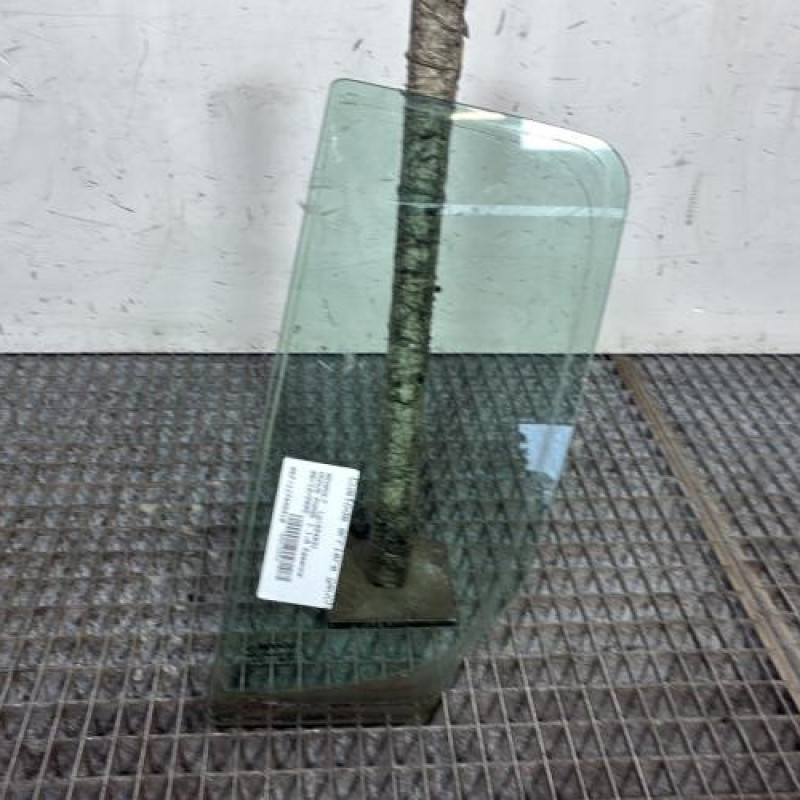 Custode arriere gauche (porte) RENAULT MODUS Photo n°1