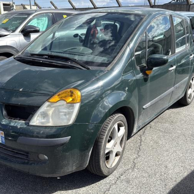 Custode arriere gauche (porte) RENAULT MODUS Photo n°5
