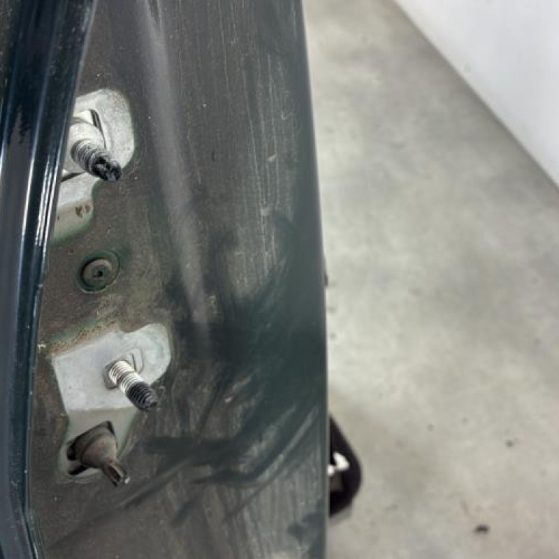 Porte arriere droit RENAULT MODUS Photo n°3