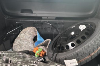 Custode avant gauche (porte) RENAULT CLIO 5