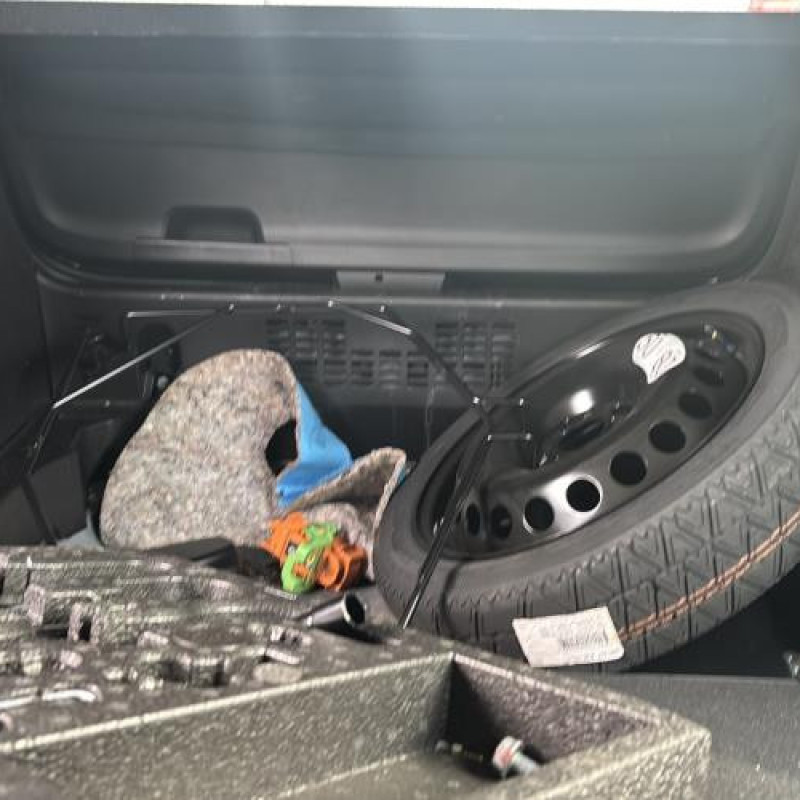 Custode avant gauche (porte) RENAULT CLIO 5 Photo n°6