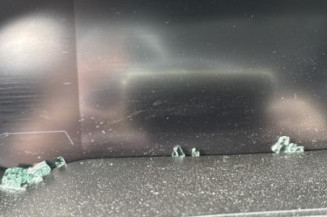 Custode avant gauche (porte) RENAULT CLIO 5