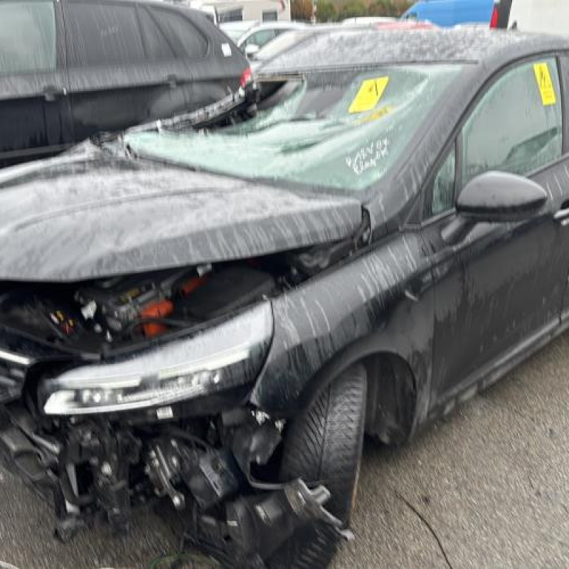 Custode avant gauche (porte) RENAULT CLIO 5 Photo n°9