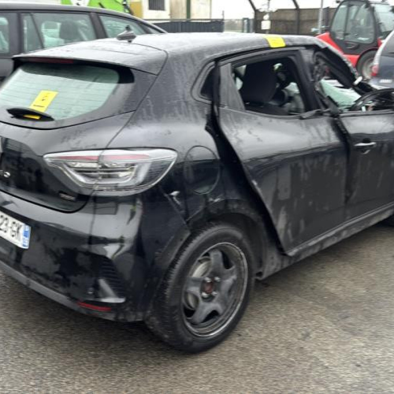 Custode avant gauche (porte) RENAULT CLIO 5 Photo n°11