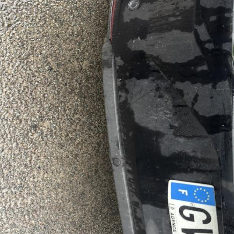 Custode avant gauche (porte) RENAULT CLIO 5 Photo n°14