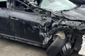 Custode avant gauche (porte) RENAULT CLIO 5