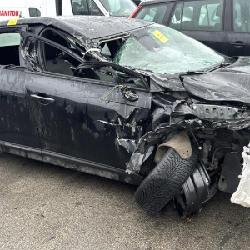 Custode avant gauche (porte) RENAULT CLIO 5 Photo n°16