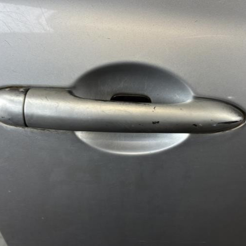 Porte avant droit RENAULT CLIO 3 Photo n°2