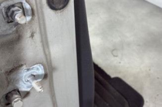 Porte avant droit RENAULT CLIO 3