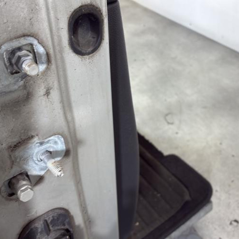 Porte avant droit RENAULT CLIO 3 Photo n°4