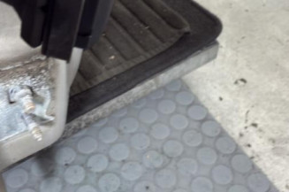 Porte avant droit RENAULT CLIO 3