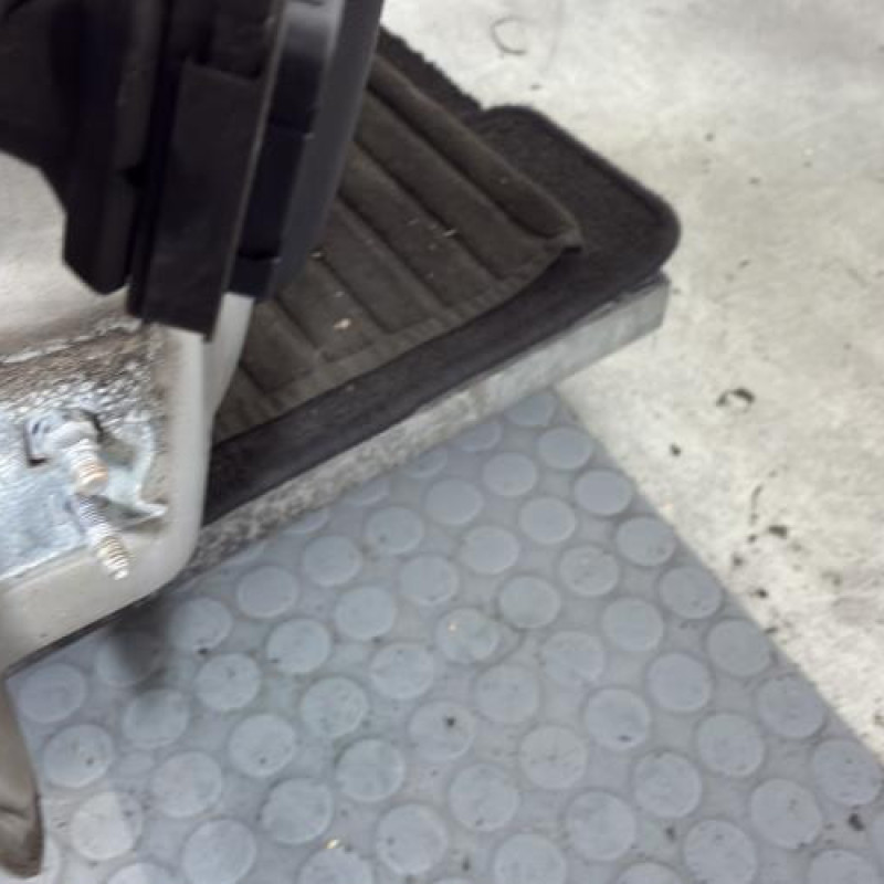 Porte avant droit RENAULT CLIO 3 Photo n°5