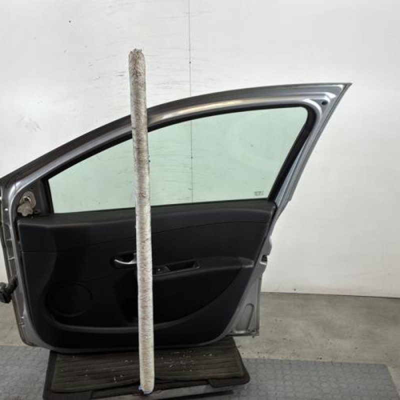 Porte avant droit RENAULT CLIO 3 Photo n°6