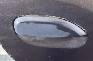 Porte arriere droit DACIA SANDERO 2