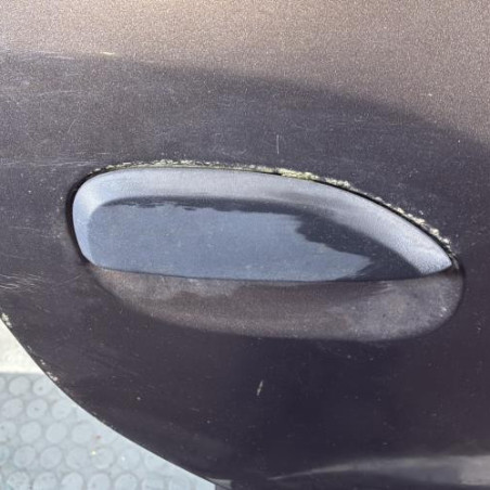 Porte arriere droit DACIA SANDERO 2