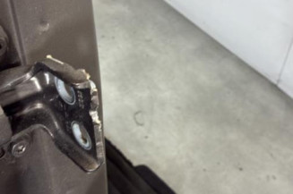 Porte arriere droit DACIA SANDERO 2