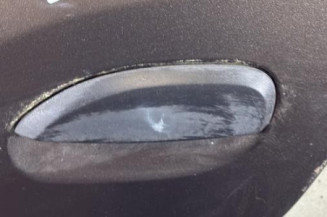 Porte arriere gauche DACIA SANDERO 2