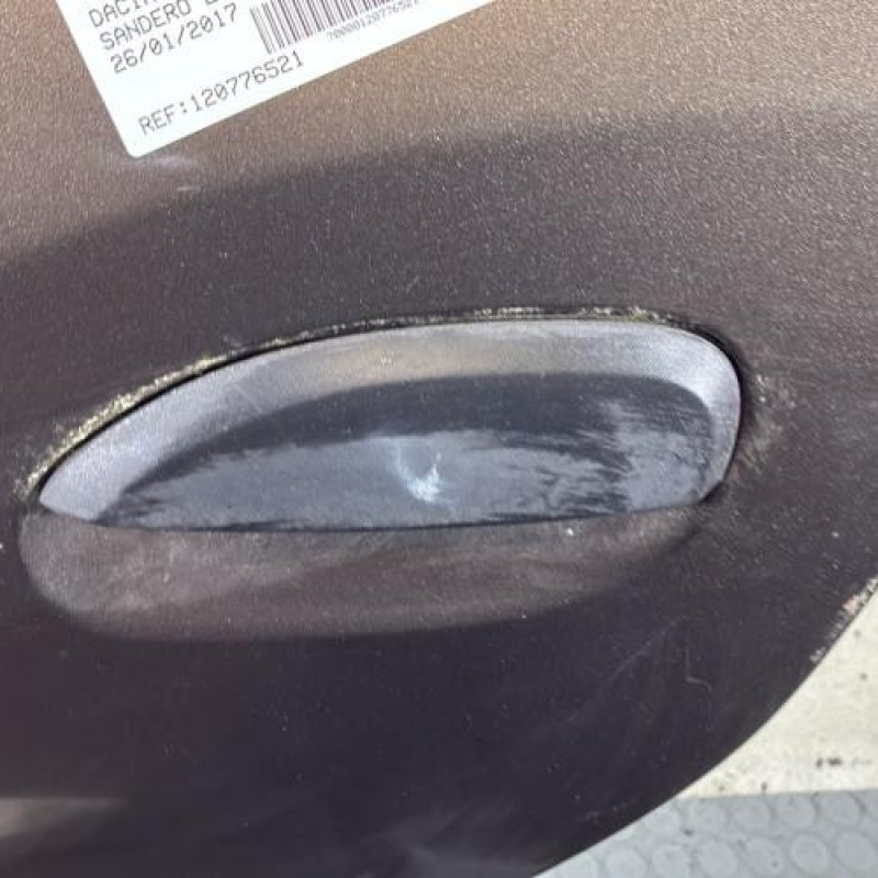 Porte arriere gauche DACIA SANDERO 2 Photo n°2